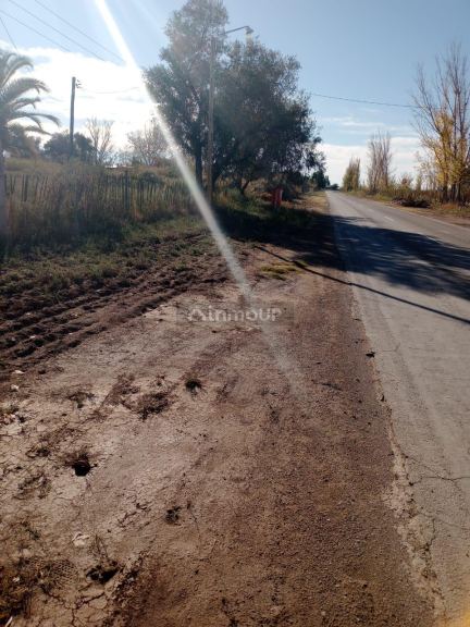 Finca en Venta en Lavalle, Mendoza