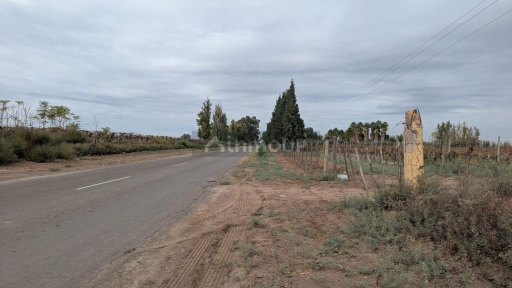 Finca en Venta en Lavalle, Mendoza