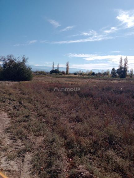 Finca en Venta en Lavalle, Mendoza