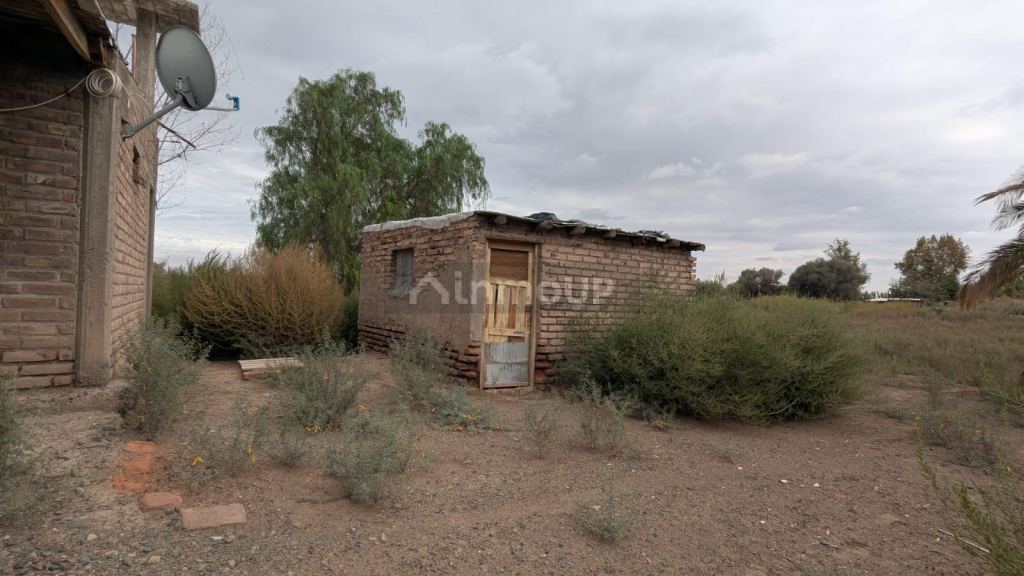 Finca en Venta en Lavalle, Mendoza