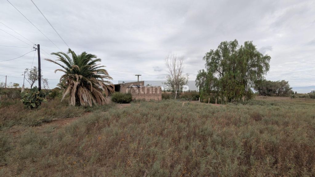 Finca en Venta en Lavalle, Mendoza