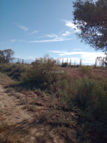 Finca en Venta en Lavalle, Mendoza