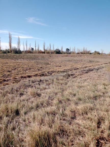 Finca en Venta en Lavalle, Mendoza