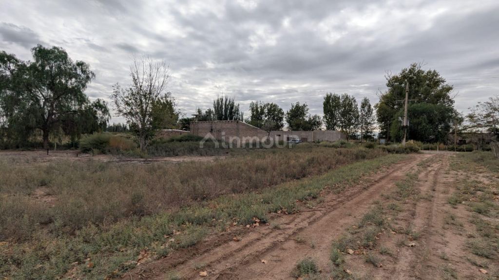 Finca en Venta en Lavalle, Mendoza