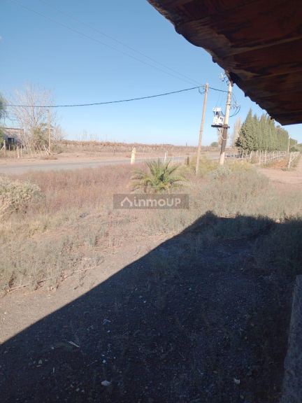 Finca en Venta en Lavalle, Mendoza