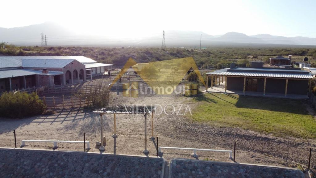 Terreno en Venta en Lujan de Cuyo, Mendoza