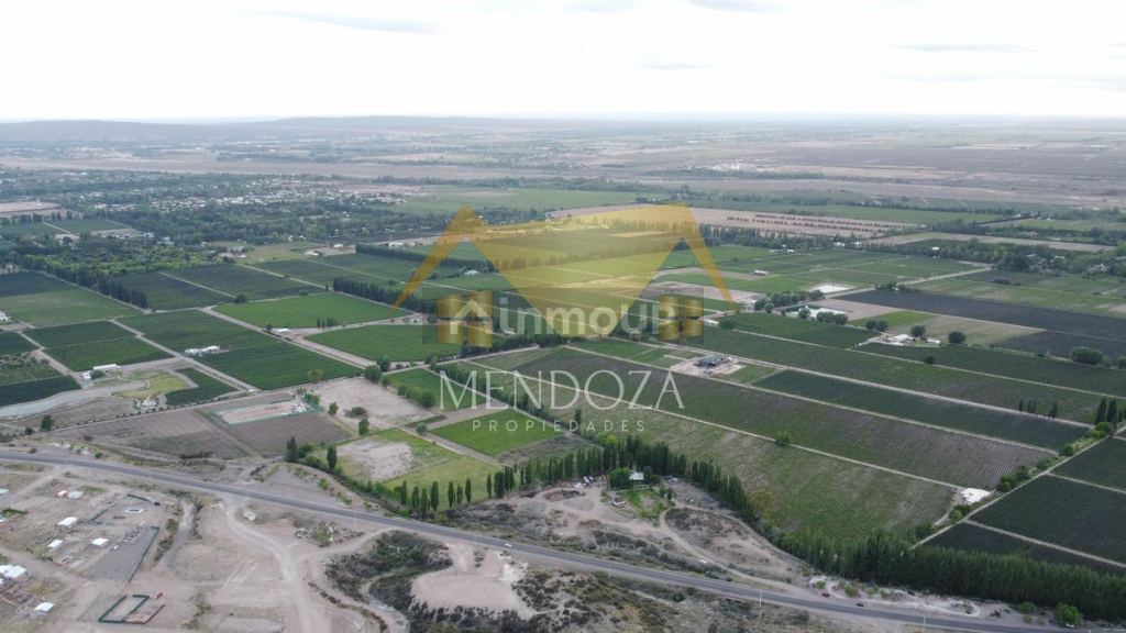 Terreno en Venta en Lujan de Cuyo, Mendoza