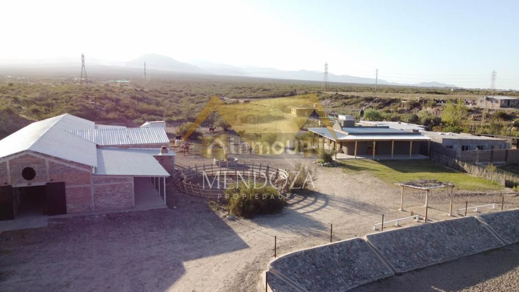 Terreno en Venta en Lujan de Cuyo, Mendoza