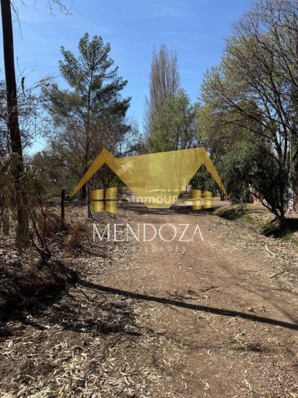 Terreno en Venta en Lujan de Cuyo, Mendoza