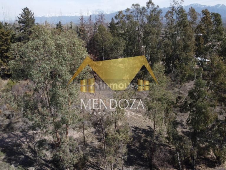 Terreno en Venta en Lujan de Cuyo, Mendoza