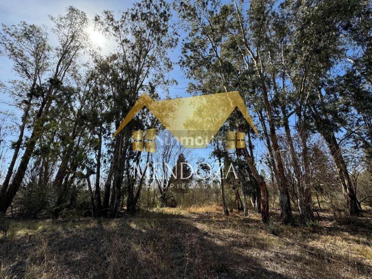 Terreno en Venta en Lujan de Cuyo, Mendoza