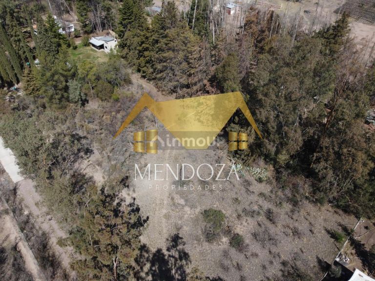 Terreno en Venta en Lujan de Cuyo, Mendoza