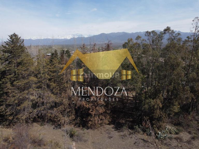 Terreno en Venta en Lujan de Cuyo, Mendoza
