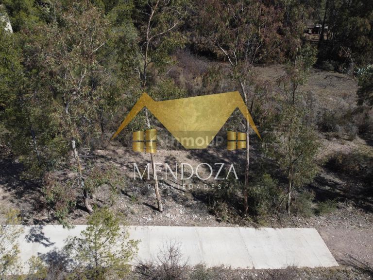 Terreno en Venta en Lujan de Cuyo, Mendoza