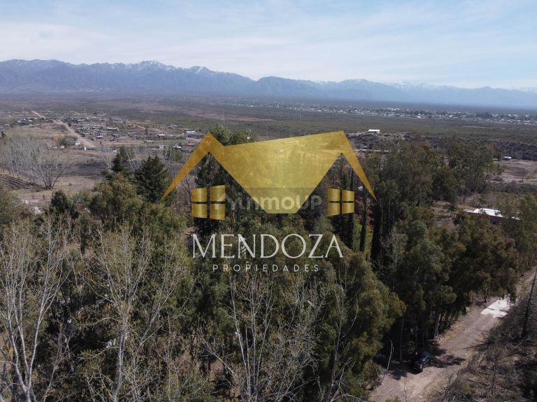 Terreno en Venta en Lujan de Cuyo, Mendoza