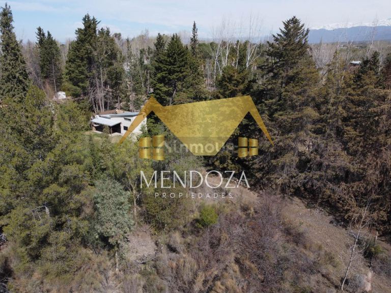 Terreno en Venta en Lujan de Cuyo, Mendoza