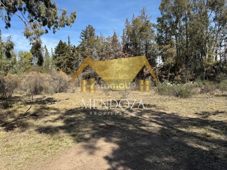 Terreno en Venta en Lujan de Cuyo, Mendoza