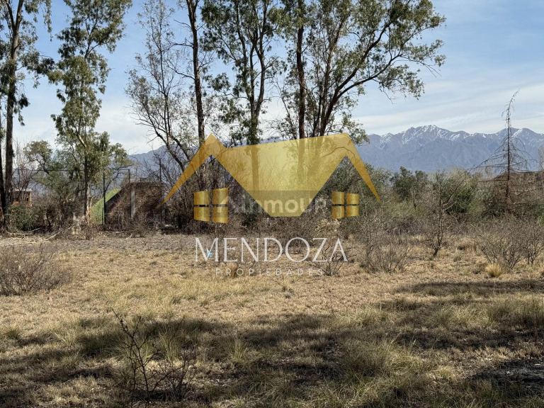 Terreno en Venta en Lujan de Cuyo, Mendoza