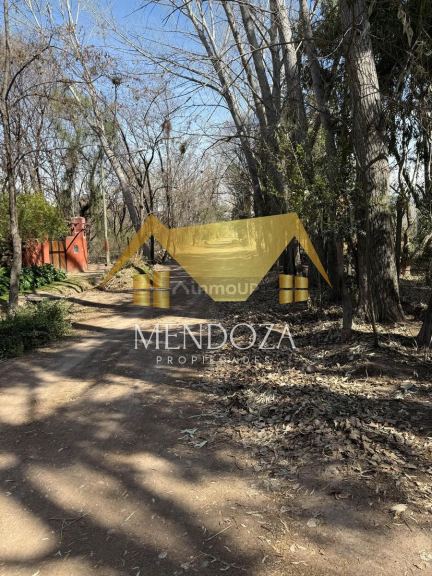 Terreno en Venta en Lujan de Cuyo, Mendoza