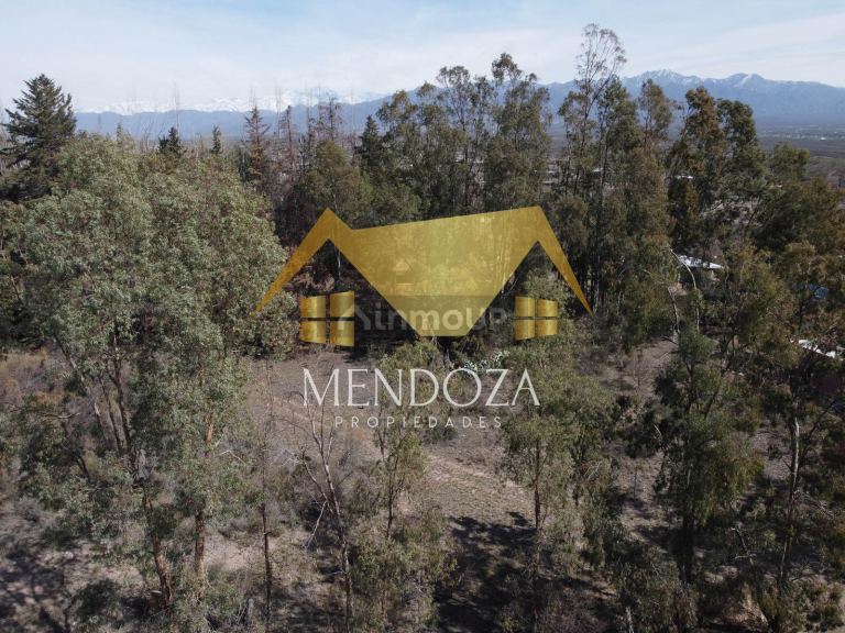 Terreno en Venta en Lujan de Cuyo, Mendoza
