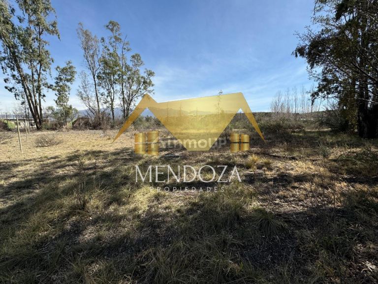 Terreno en Venta en Lujan de Cuyo, Mendoza
