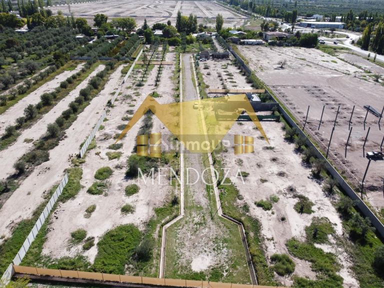 Terreno en Venta en Maipu, Mendoza