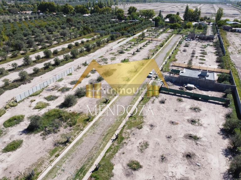 Terreno en Venta en Maipu, Mendoza