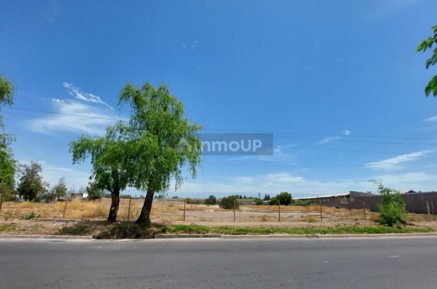 Terreno en Venta en Maipu, Mendoza