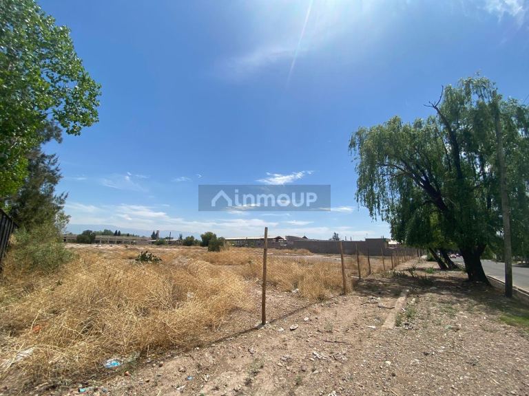 Terreno en Venta en Maipu, Mendoza