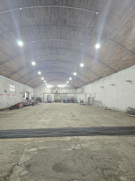Galpon en Alquiler en San Carlos, Mendoza