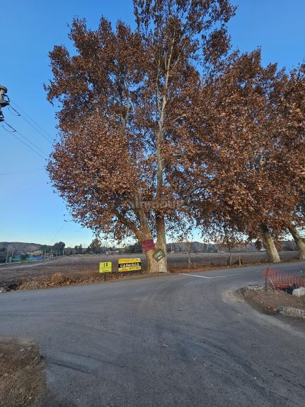 Lujan de Cuyo Walker y Terrada