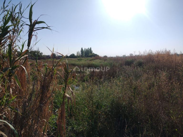 Terreno en Venta en Maipu, Mendoza