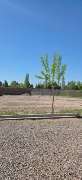 Lote en Venta en Maipu, Mendoza