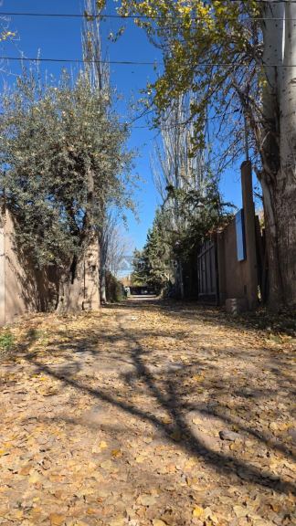 Lote en Venta en Lujan de Cuyo, Mendoza