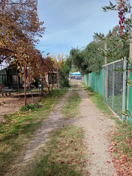 Departamento en Alquiler en Lujan de Cuyo, Mendoza