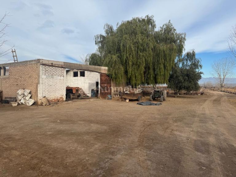 Finca en Venta en Lavalle, Mendoza