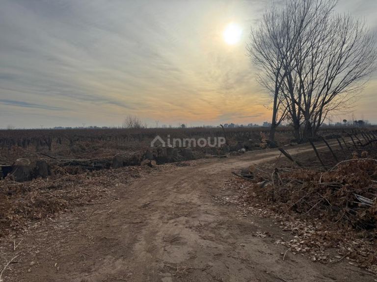 Finca en Venta en Lavalle, Mendoza