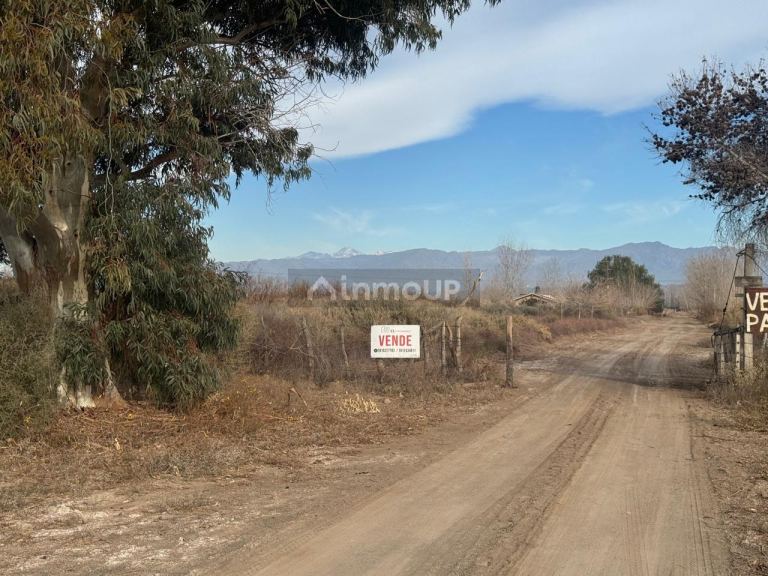 Finca en Venta en Lavalle, Mendoza