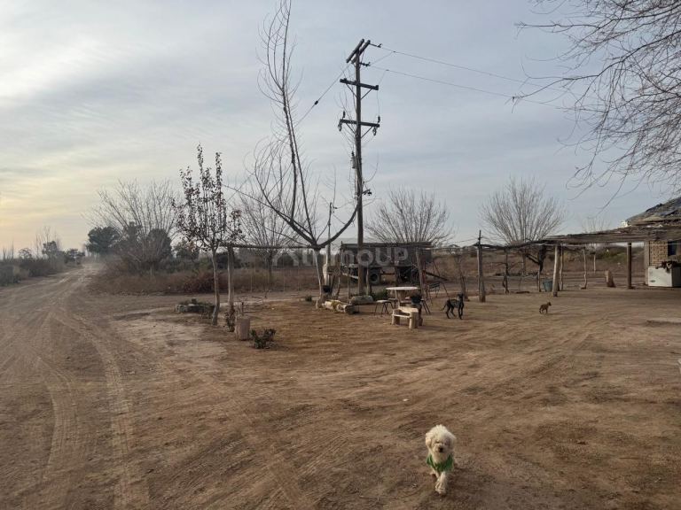 Finca en Venta en Lavalle, Mendoza