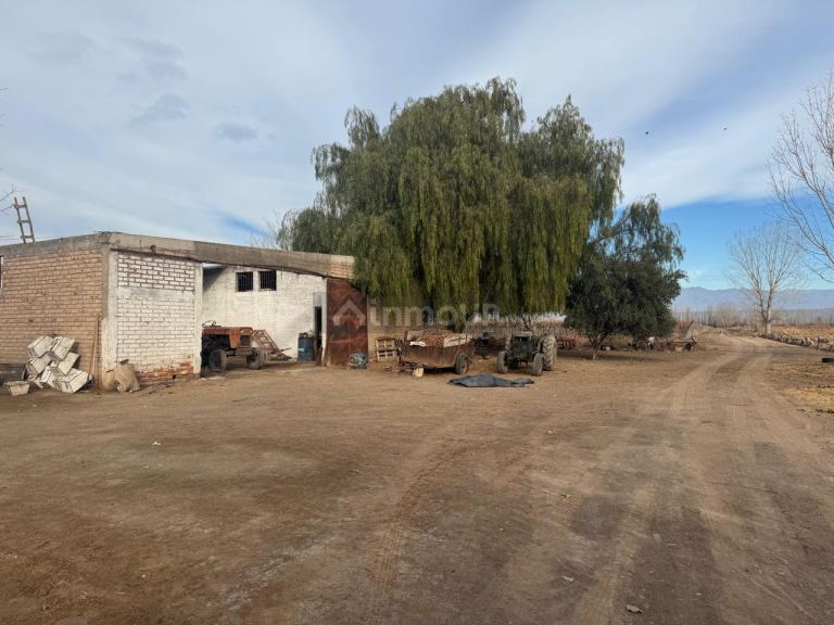 Finca en Venta en Lavalle, Mendoza
