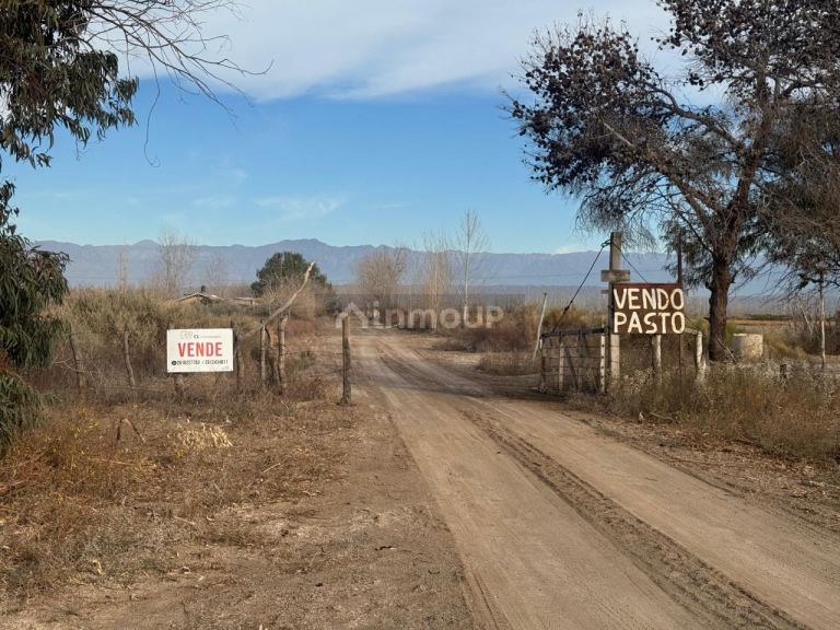 Finca en Venta en Lavalle, Mendoza