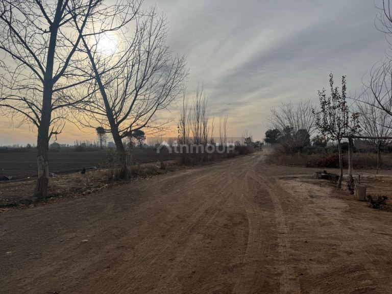 Finca en Venta en Lavalle, Mendoza