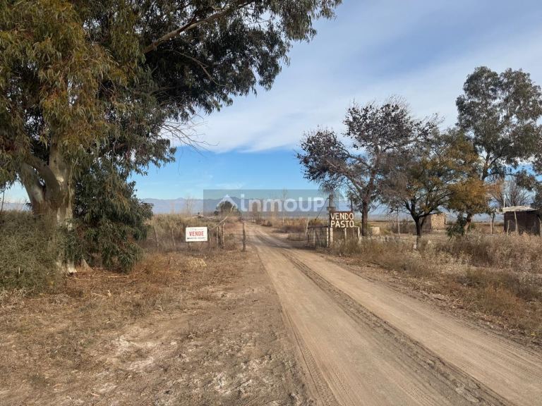 Finca en Venta en Lavalle, Mendoza