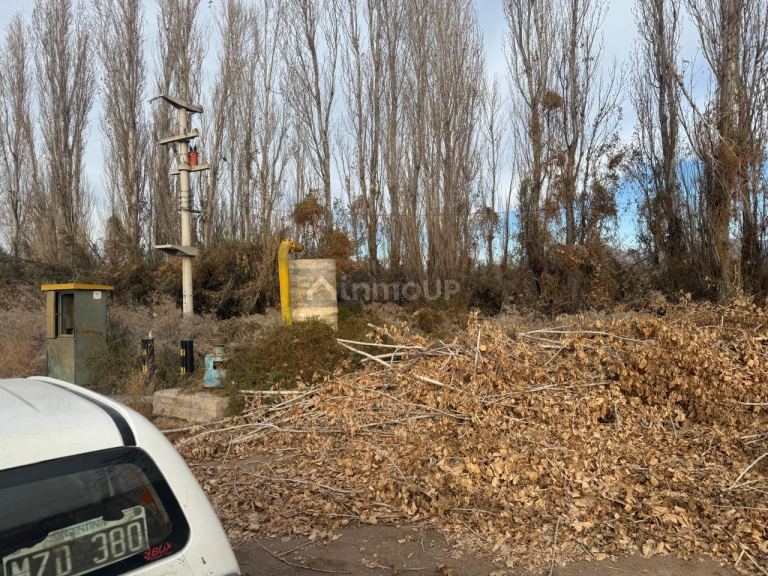 Finca en Venta en Lavalle, Mendoza