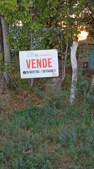 Finca en Venta en Lavalle, Mendoza