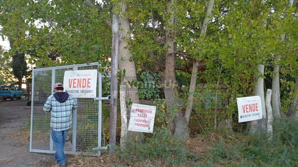 Finca en Venta en Lavalle, Mendoza