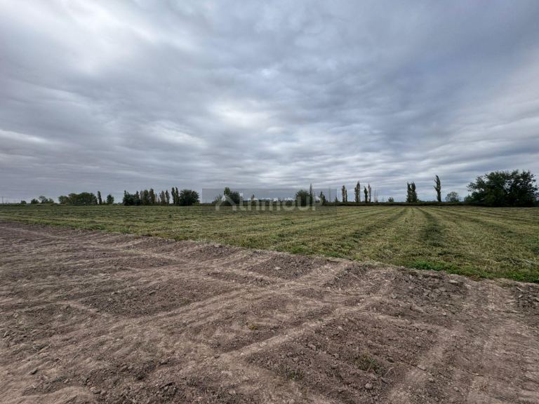 Finca en Venta en Lavalle, Mendoza