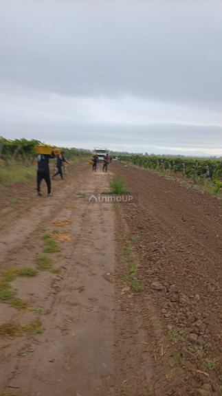 Finca en Venta en Lavalle, Mendoza