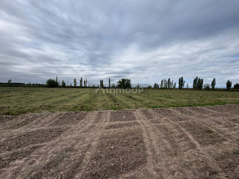 Finca en Venta en Lavalle, Mendoza