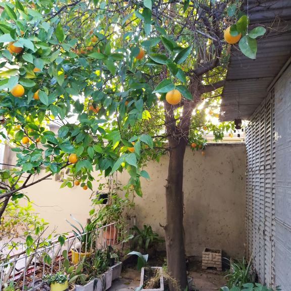 Casa en Venta en Godoy Cruz, Mendoza